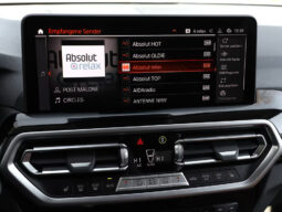 
										BMW X3 xDrive 20d | Diesel | Grigio metallizzato full									