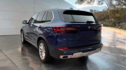 
										BMW X5 xDrive | Benzina | Blu fitonico metallizzato full									