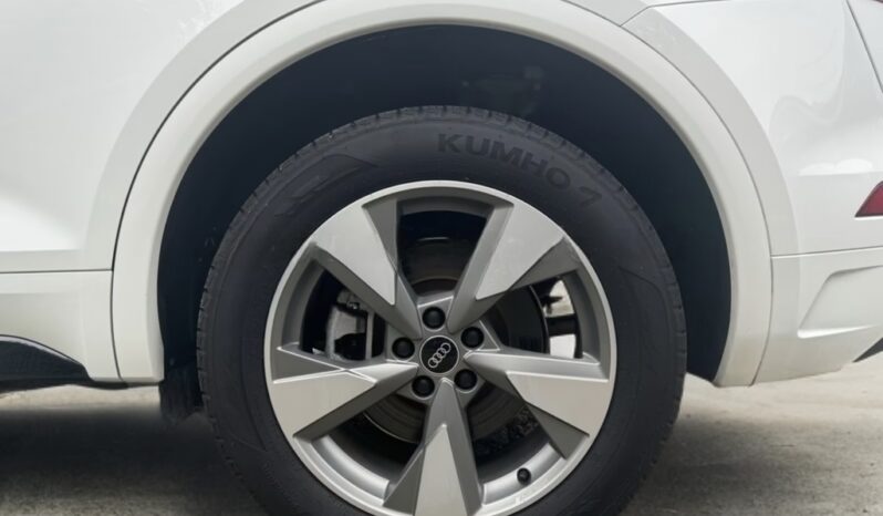 
								Audi Q5 45 TFSI | Benzina | Bianco Ibis metallizzato full									