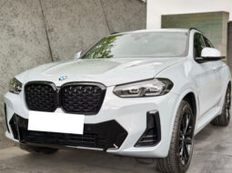 
										BMW X4 xDrive20 M Sport | Hybrid | Grigio Brookling metallizzato full									