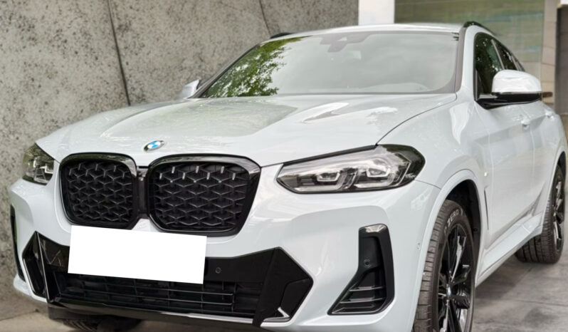 
								BMW X4 xDrive20 M Sport | Hybrid | Grigio Brookling metallizzato full									