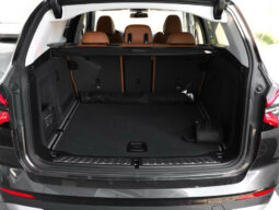 
										BMW X3 xDrive 20d | Diesel | Grigio metallizzato full									