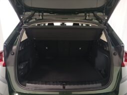 
										BMW X1 sDrive | Diesel | verde sanremo metallizzato full									