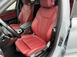 
										BMW X4 xDrive20 M Sport | Hybrid | Grigio Brookling metallizzato full									